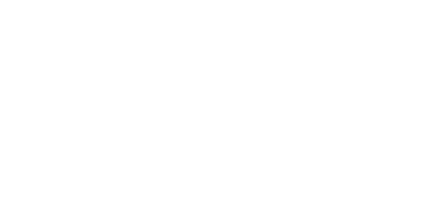 VIPS-Gala-logo---white-with-twinkle-v1 VIPS Gala logo