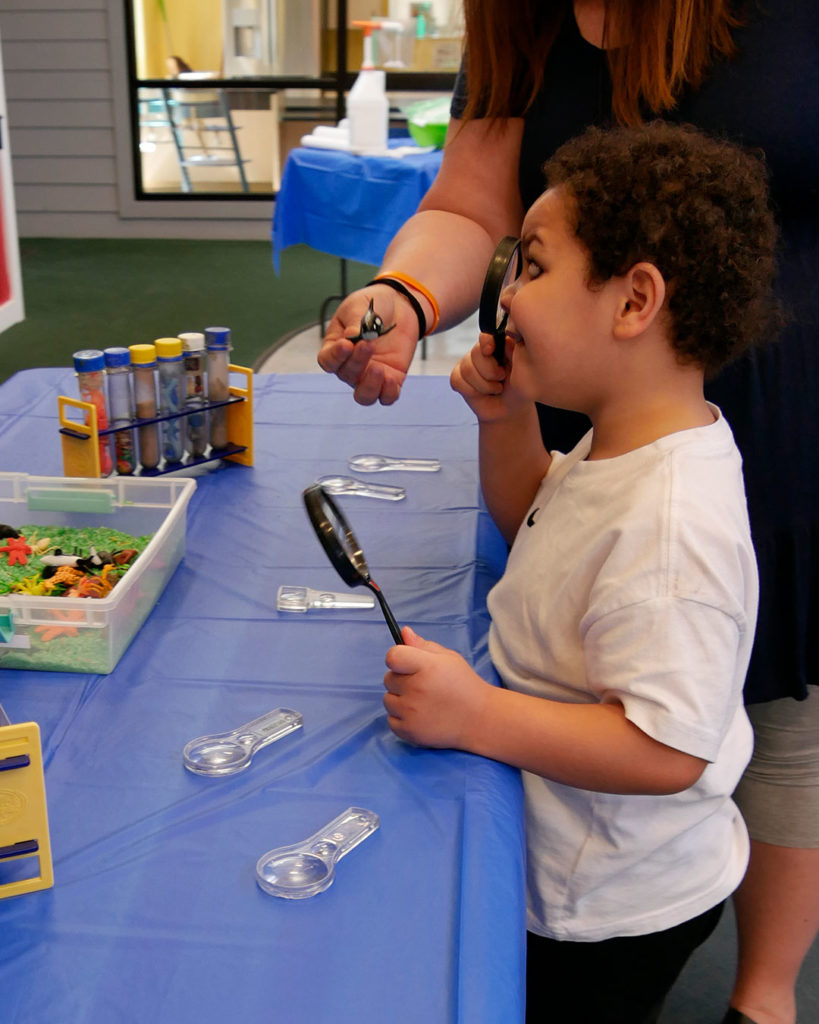 A small boy looks at a tiny, toy orca with a magnifying glass.